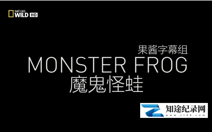 [国家地理]魔鬼怪蛙 Monster Frog-知途纪录片网盘资源下载