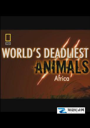 [国家地理]世界致命动物系列：非洲篇  World's Deadliest Animals: Africa-知途纪录片网盘资源下载