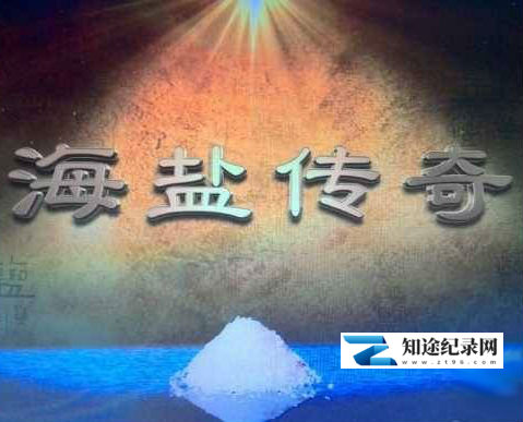 [CCTV]海盐传奇 Sea Salt Legend-知途纪录片网盘资源下载