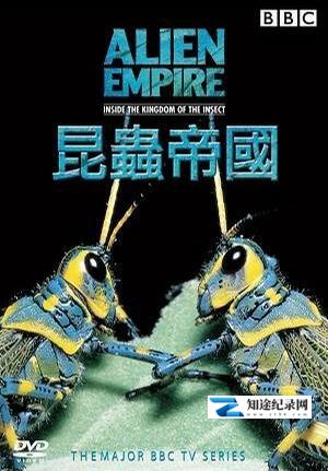 [BBC]昆虫帝国 Alien Empire-知途纪录片网盘资源下载