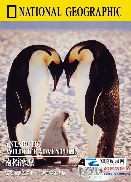 [国家地理]南极冰原 Antarctic Wildlife Adventure-知途纪录片网盘资源下载