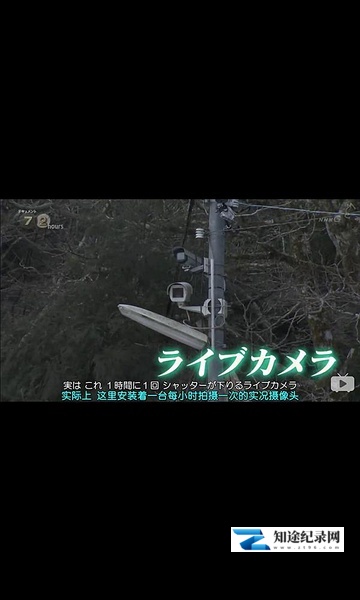 [NHK]金刚山的实时摄像头 金剛山 ライブカメラの山頂で-知途纪录片网盘资源下载