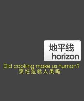 [BBC]烹饪造就人类吗 Did Cooking Make Us Human-知途纪录片网盘资源下载