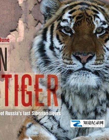 [BBC]雪虎任务 Operation Snow Tiger-知途纪录片网盘资源下载
