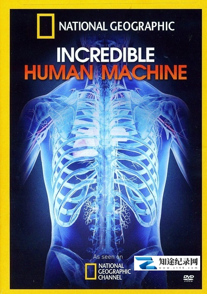 [国家地理]神奇的人体机器 Incredible Human Machine-知途纪录片网盘资源下载