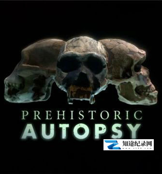 [BBC]史前尸检 Prehistoric Autopsy / 解剖史前古尸-知途纪录片网盘资源下载
