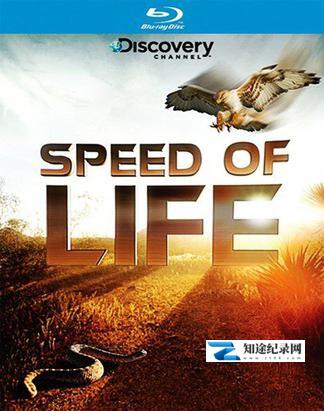 [Discovery]生命的速度 Speed of Life-知途纪录片网盘资源下载