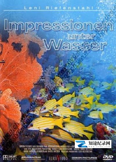 [其他]水下印象 Impressionen unter Wasser-知途纪录片网盘资源下载