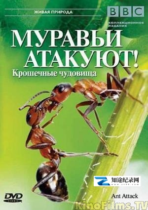 [BBC]自然世界：蚂蚁攻击 Natural World: Ant Attack \\\\ 蚂蚁入侵-知途纪录片网盘资源下载