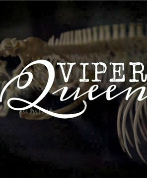 [国家地理]毒蛇女王  Viper Queens-知途纪录片网盘资源下载