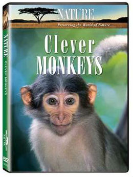 [PBS]聪明的猴子 Nature Clever Monkeys-知途纪录片网盘资源下载