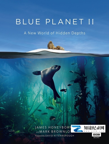 [BBC]蓝色星球 2 Blue Planet II 全7集-知途纪录片网盘资源下载