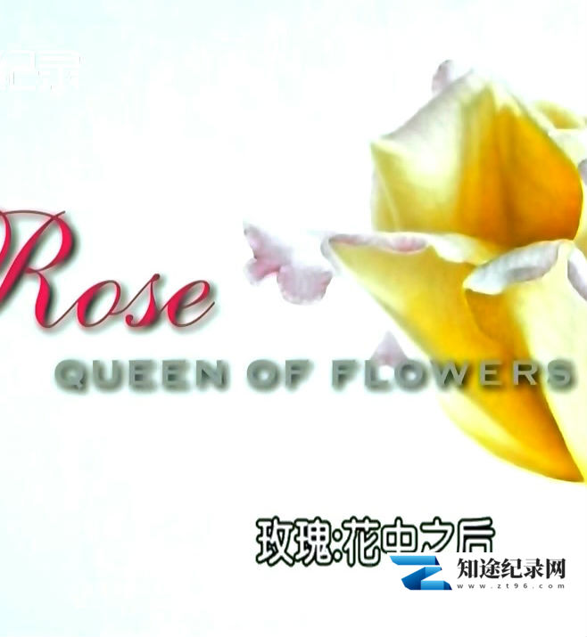 [Discovery]玫瑰—花中之后 Rose: queen of flowers-知途纪录片网盘资源下载