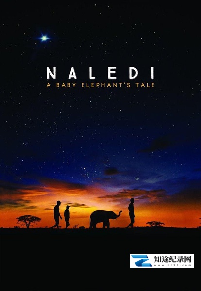 [Netflix]纳勒迪：一只小象的故事 Naledi: A Baby Elephant's Tale-知途纪录片网盘资源下载