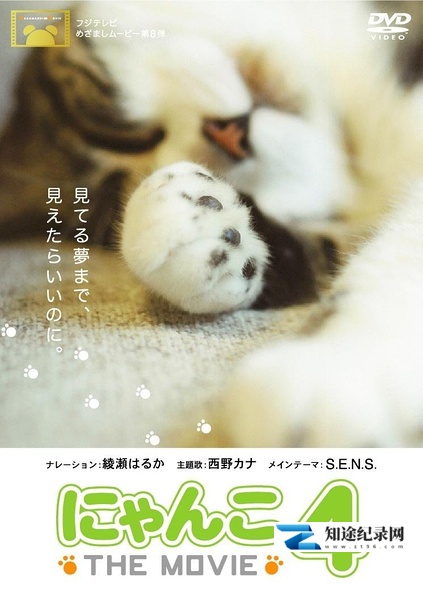 [NHK]猫咪物语4 にゃんこ THE MOVIE4-知途纪录片网盘资源下载