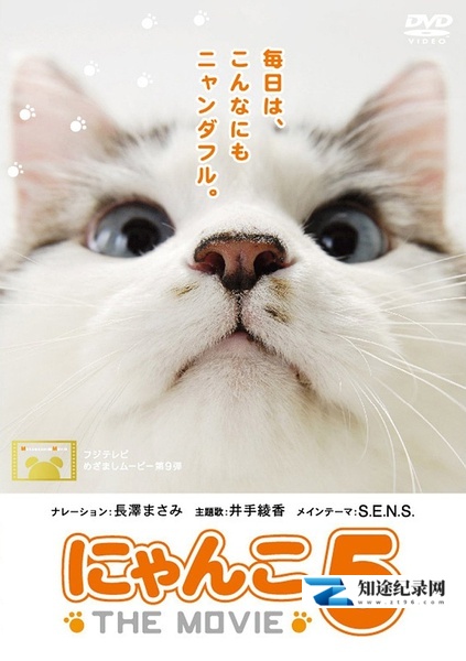 [NHK]猫咪物语5 THE MOVIE 5-知途纪录片网盘资源下载