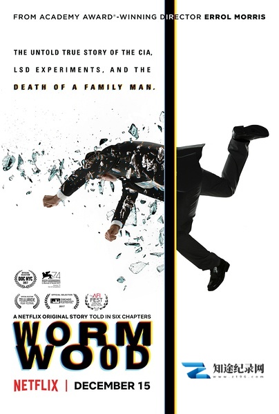 [Netflix]苦艾草 Wormwood-知途纪录片网盘资源下载