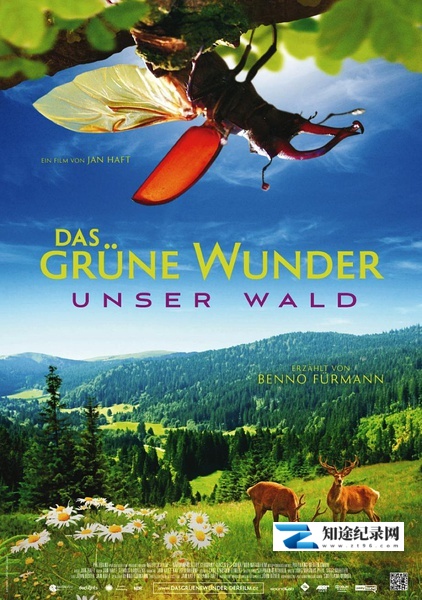 [其他]大自然之舞 Das grüne Wunder – Unser Wald-知途纪录片网盘资源下载