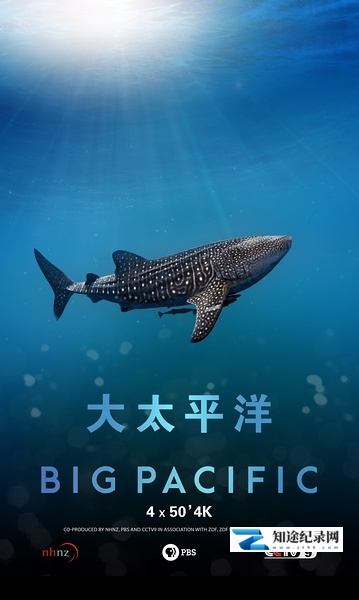 [CCTV]大太平洋 Big Pacific-知途纪录片网盘资源下载