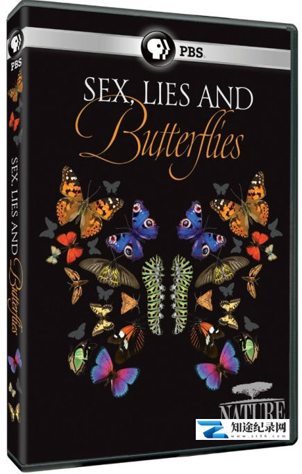 [PBS]性感 谎言和蝴蝶 Sex Lies and Butterflies-知途纪录片网盘资源下载