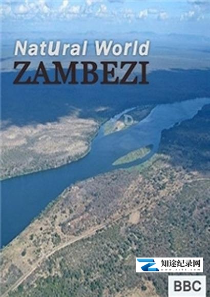 [国家地理]赞比西河 Zambezi-知途纪录片网盘资源下载