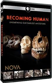 [PBS]人类进化 Becoming Human-知途纪录片网盘资源下载
