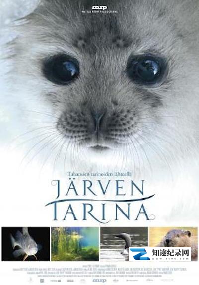 [其他]湖泊的传说 Järven tarina-知途纪录片网盘资源下载