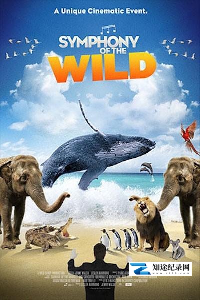 [其他]野生动物交响曲 Symphony of the Wild-知途纪录片网盘资源下载
