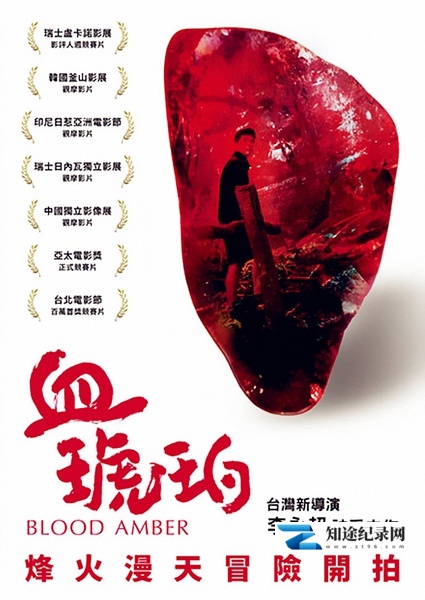 [其他]血琥珀 Blood Amber-知途纪录片网盘资源下载
