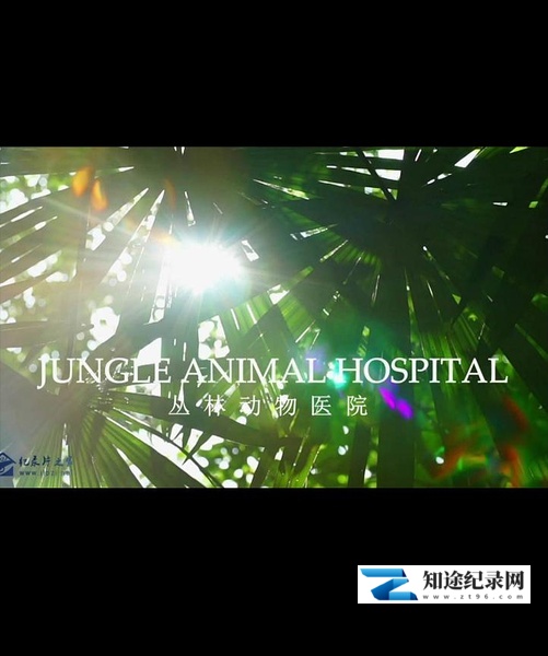 [BBC]自然世界 丛林动物医院 Jungle Animal Hospital-知途纪录片网盘资源下载