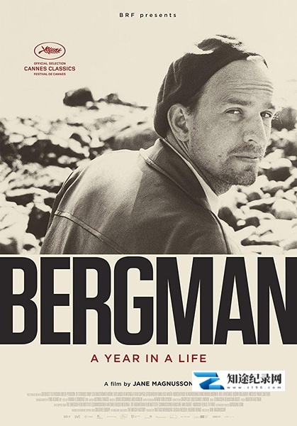 [其他]伯格曼：人生中的那一年  Bergman: A Year in a Life-知途纪录片网盘资源下载