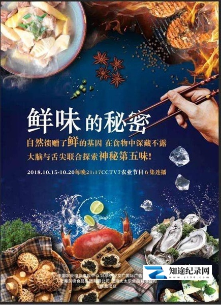 [CCTV]鲜味的秘密 鲜味的秘密-知途纪录片网盘资源下载