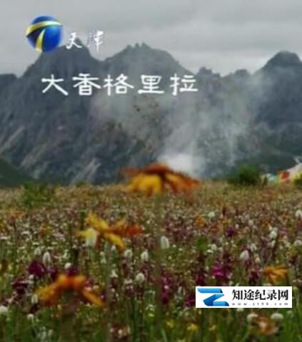 [其他]大香格里拉 大香格里拉-知途纪录片网盘资源下载