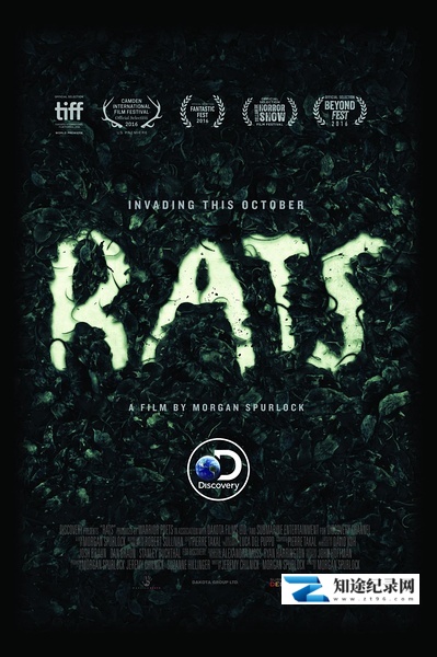[PBS]纽约鼠患 Rats-知途纪录片网盘资源下载