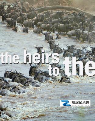 [其他]方舟后裔 The Heirs to the Ark-知途纪录片网盘资源下载