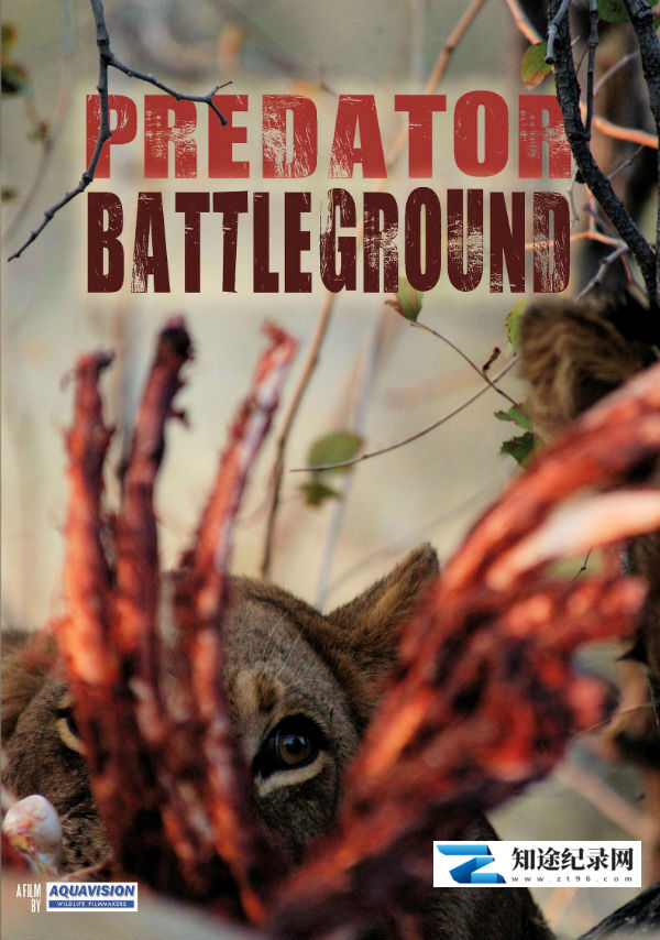 [国家地理]掠食动物战场 Predator Battleground-知途纪录片网盘资源下载