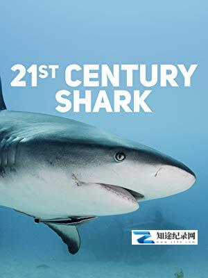 [国家地理]21世纪鲨鱼 21st Century Shark-知途纪录片网盘资源下载