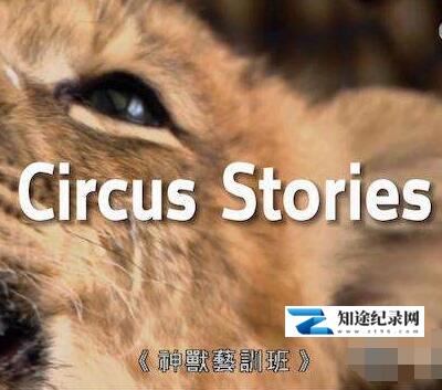 [其他]神兽艺训班 Circus Stories-知途纪录片网盘资源下载