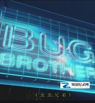 [国家地理]虫虫兄弟 Bug Brother-知途纪录片网盘资源下载