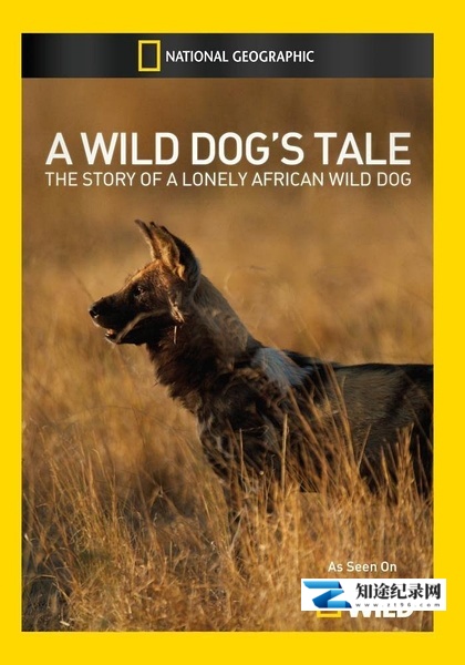 [国家地理]豺犬传奇 A Wild Dog's Tale-知途纪录片网盘资源下载