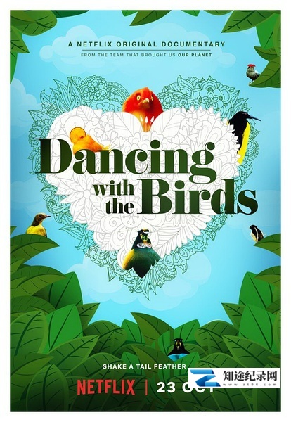 [其他]与雀共舞 Dancing with the Birds-知途纪录片网盘资源下载