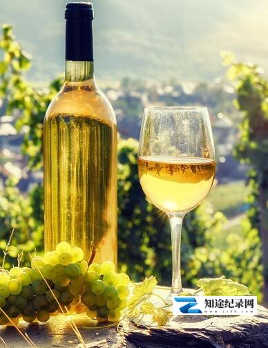 [国家地理]葡萄酒之旅：香槟&阿尔萨斯 Wineroads: Champagne & Alsace-知途纪录片网盘资源下载