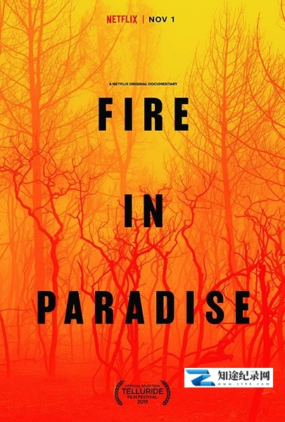 [Netflix]天堂镇大火 Fire in Paradise-知途纪录片网盘资源下载
