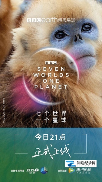 [BBC]七个世界，一个星球 Seven Worlds, One Planet-知途纪录片网盘资源下载