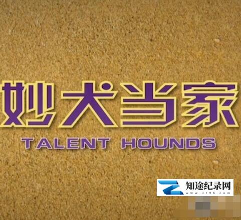 [其他]妙犬当家 Talent Hounds-知途纪录片网盘资源下载