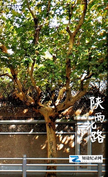 [其他]陕西北路 陕西北路-知途纪录片网盘资源下载