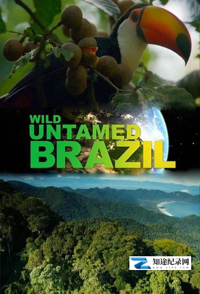 [国家地理]野性巴西 Wild Untamed Brazil-知途纪录片网盘资源下载