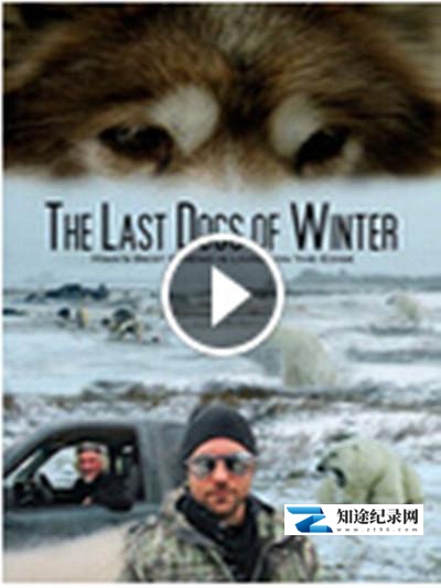 [其他]濒危的爱斯基摩犬 The Last Dogs of Winter-知途纪录片网盘资源下载