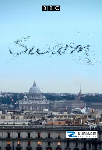 [BBC]大自然不可思议的入侵 Swarm: Nature's Incredible Invasion-知途纪录片网盘资源下载