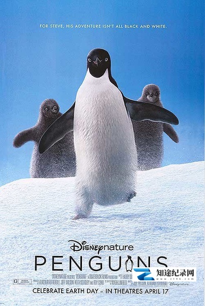 [其他]企鹅 Penguins-知途纪录片网盘资源下载